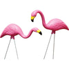 PINK FLAMINGO (LARGE/2 PACK)