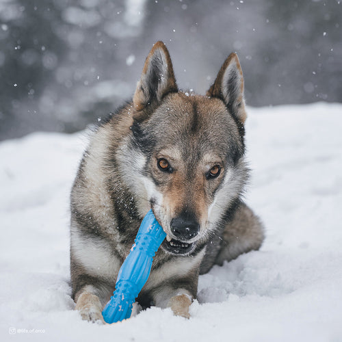 Coastal Pet Products ProFit Foam Toy Stick (Blue Lagoon, 11.5)